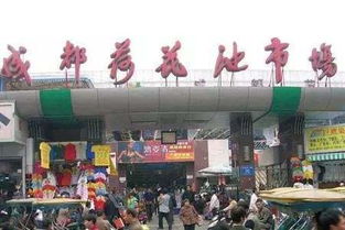 成都童装批发市场叫什么
