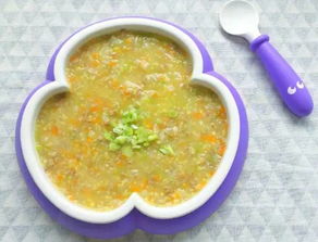 白城幼儿辅食批发
