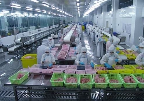 成人纸尿裤、卫生巾、护垫、着一系列的生产基地在哪啊?