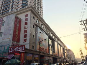 哈尔滨哪里有玩具城 可以批发的那种?