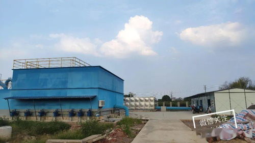 宁都县水东童鞋工厂地址在哪里