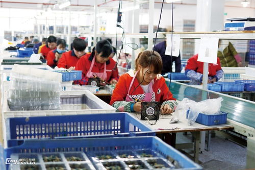 在玩具工厂寻找，玩具厂工序