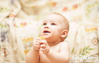 婴儿辅食核桃油哪个牌子好，婴儿辅食锅什么牌子的好