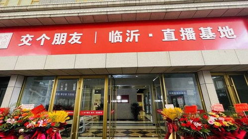 临沂纸尿裤批发直播基地在哪里，临沂纸尿裤批发厂家直销