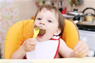 婴儿辅食添加剂有哪些品牌好，婴儿辅食添加剂哪个品牌好
