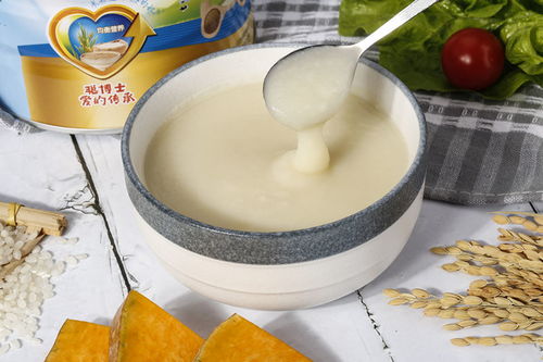沈阳批发婴幼儿辅食零食的地方在哪?谢谢