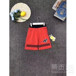 辽宁男童童装有哪些牌子的，小孩品牌童装有哪些品牌