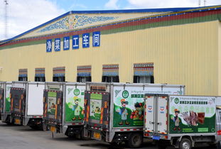 拉萨玩具批发市场在哪里，拉萨玩具批发市场电话