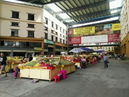 唐山有几个可以批发小食品的地方,具体在哪。详细地址