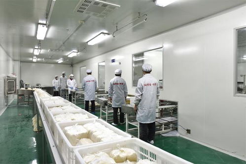 大鱼海棠纸尿裤有几个代工厂