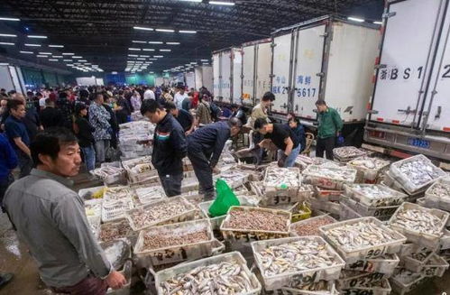 哈尔滨哪里批发成人用尿不湿