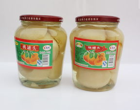 保定辅食代理公司，婴幼儿辅食代理