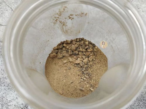 窝小芽这个宝宝辅食品牌怎么样?