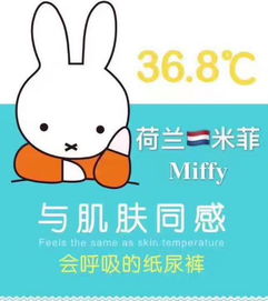 米菲经销商推广V2会员怎么注册