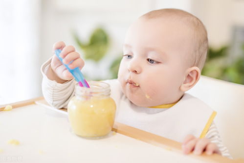 做婴儿辅食加工厂怎么样，做婴儿辅食加工厂挣钱吗