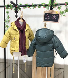 大童童装品牌有哪些?