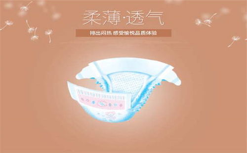 北京高档品牌纸尿裤有哪些，知名品牌纸尿裤