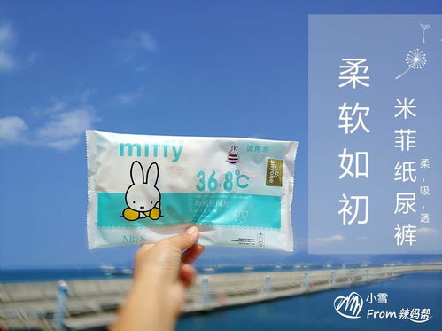 贝友纸尿裤厂家在哪，乐贝纸尿裤厂家是哪里的