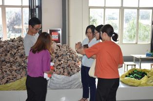 玩具厂完成工是干什么的，玩具厂工作