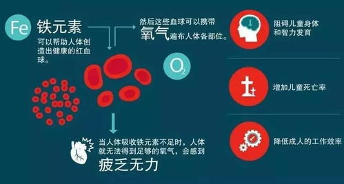 万达孕妇装品牌有哪些