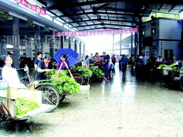 吉安玩具批发市场在哪，吉安玩具批发市场有哪些