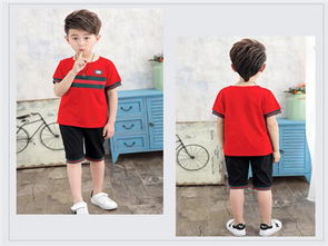 中国十大童装(婴幼儿服装)品牌榜中榜/名牌童装有: