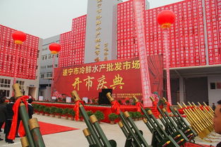 遂宁市玩具批发市场在哪里，遂宁批发玩具在哪里