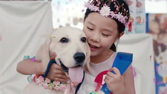 10多天的狗狗。。哪里有卖狗狗奶瓶的??