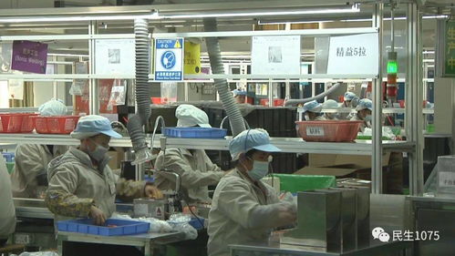 开个玩具厂需要投资多少钱