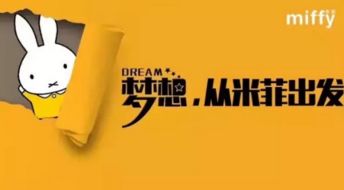 米菲纸尿裤代理政策