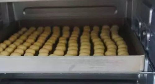 家用小烤箱什么牌子好 家用小烤箱十大品牌