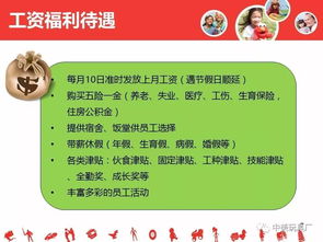 在哪进婴儿纸尿裤厂家