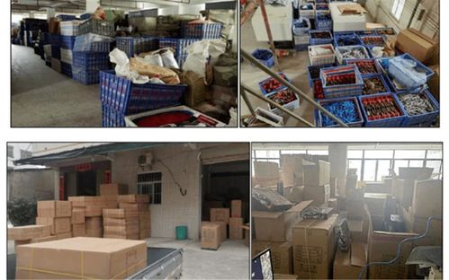 沈阳玩具城在哪