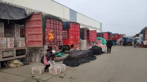 批发儿童玩具哪里最便宜?