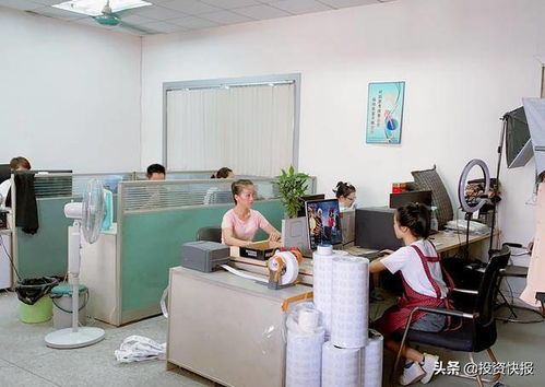 拼多多童装店铺名字大全，拼多多童装品牌