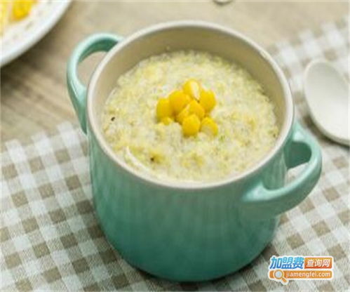 宝宝辅食加盟，婴儿手工辅食加盟店排名
