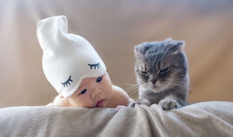 成都猫咪洗护推荐婴儿用品店，成都洗猫在哪里