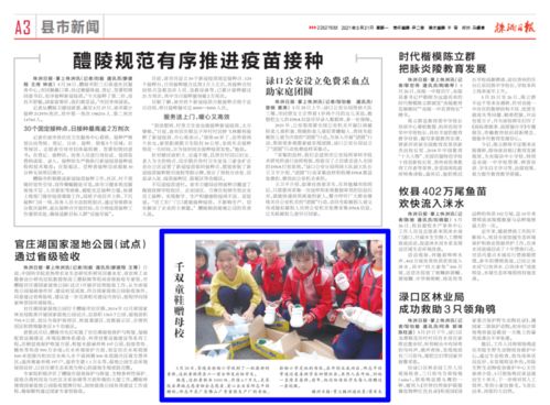 《待售:童鞋,崭新》作文怎么写