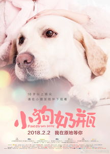 小狗奶瓶用什么牌子好用，小狗用的奶瓶