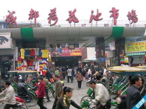 成都孕妇装批发市场在哪里，成都哪里有孕妇装专卖店