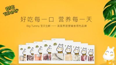 进口辅食加盟品牌，进口辅食代理
