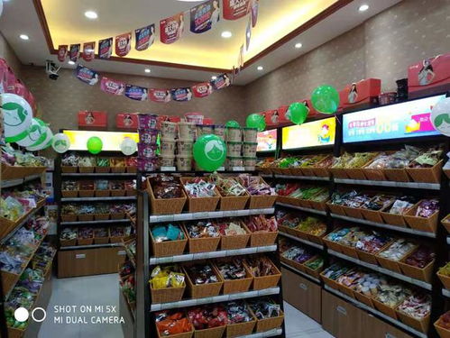 在乡镇开零食加盟店一年的利润是多少?