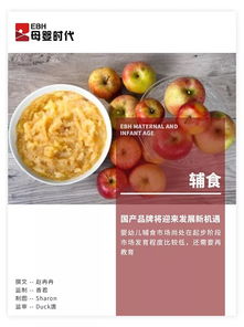 有哪些平价又安全的辅食品牌?