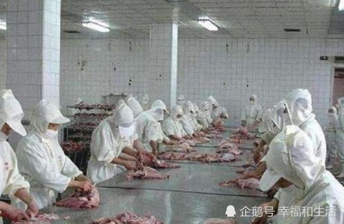 英其宝纸尿裤怎么样