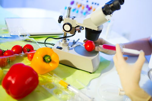 测评学生的玩具品牌有哪些，小学生玩具品牌