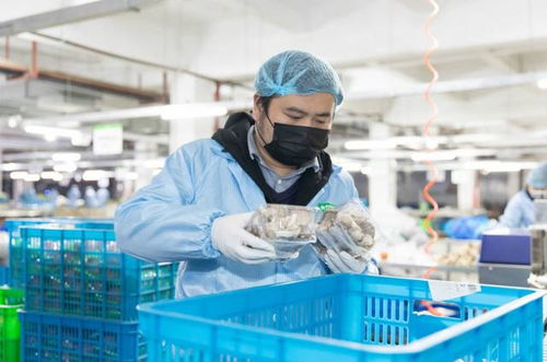 蓓趣纸尿裤是哪个公司的?质量好不好?我为什么会选择给宝宝用蓓趣?_百 