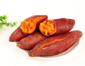 新疆辅食批发市场在哪，新疆副食品批发