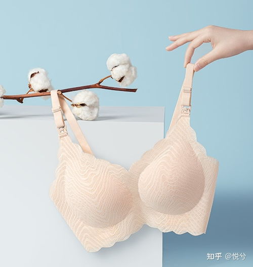 孕妇枕怎么选?孕妇枕十大品牌介绍