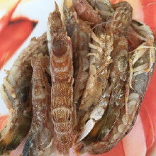 蓬莱海鲜小零食批发市场，蓬莱海鲜批发市场