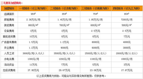 安徽轻奢童装加盟费用明细表，安徽童装品牌